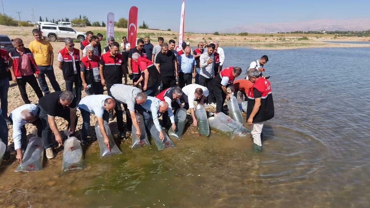 Adıyaman'da Su Kaynakları Balıklandırılmaya Başlandı