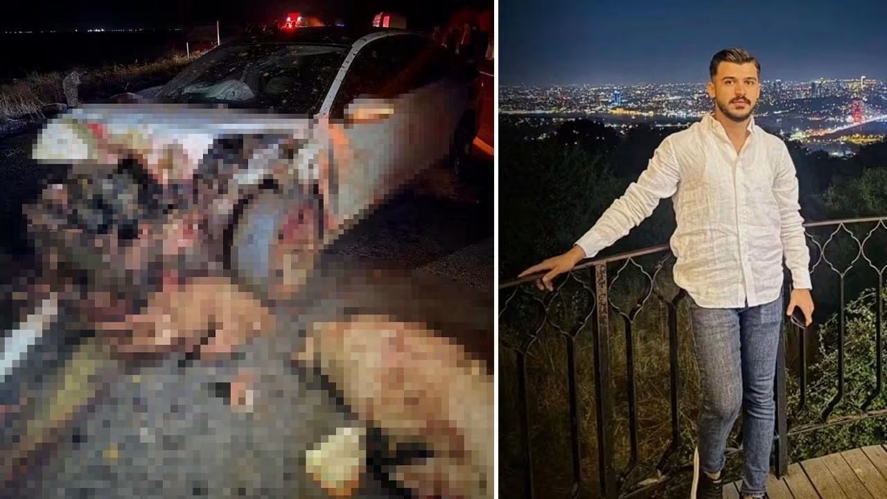 Şanlıurfa'da Otomobil Koyun Sürüsüne Çarptı: Sürücü Hayatını Kaybetti