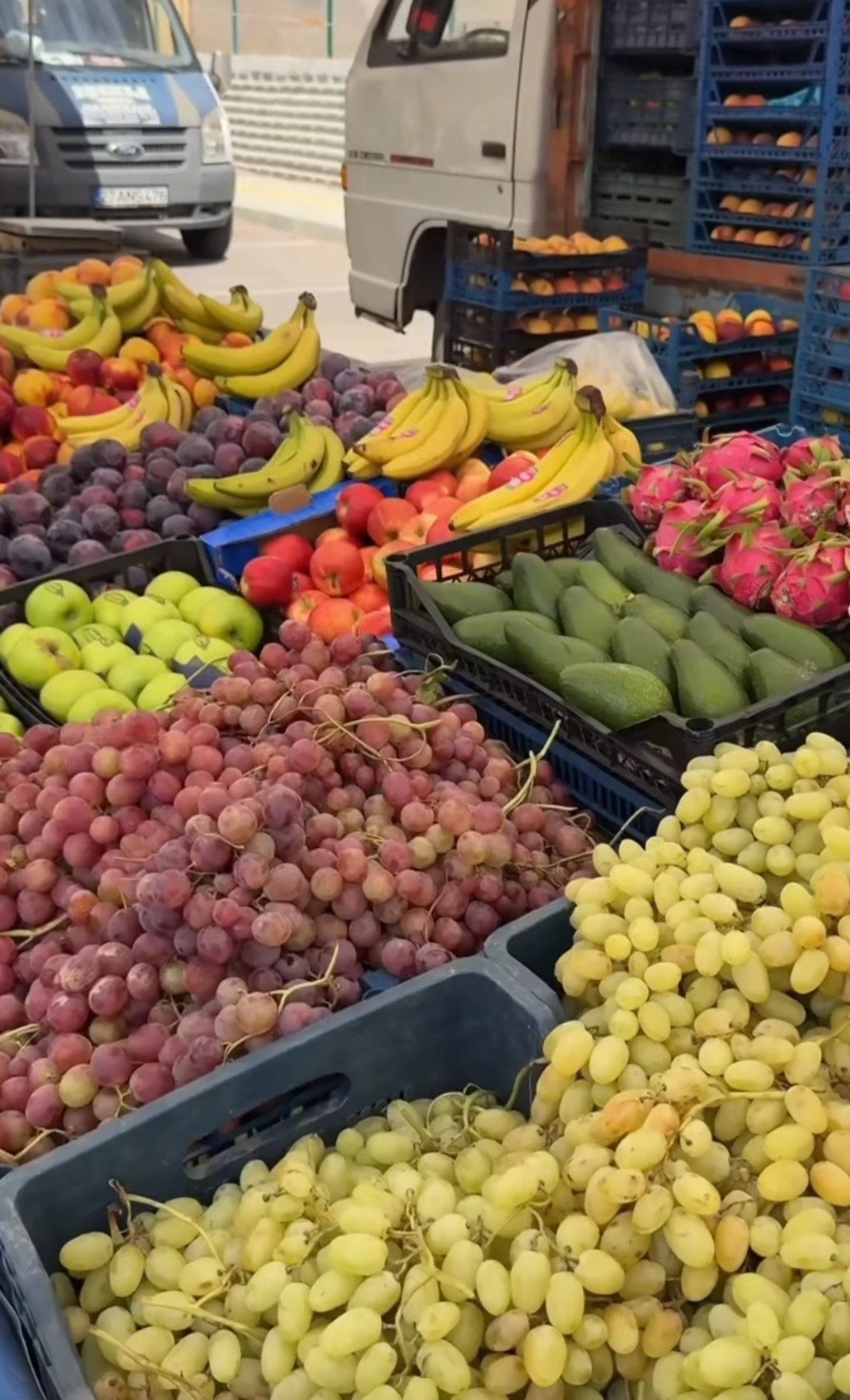 Salkımbağı TOKİ'de Semt Pazarı Hizmete Başladı