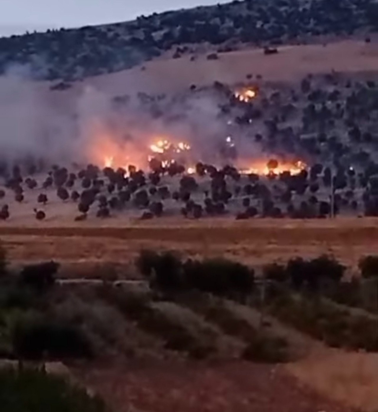 Adıyaman Palanlı Mevkiinde Orman Yangını Sürüyor