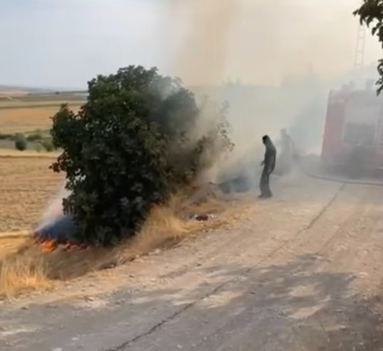 Adıyaman Kuştepe Köyünde Bahçe Yangını Çıktı