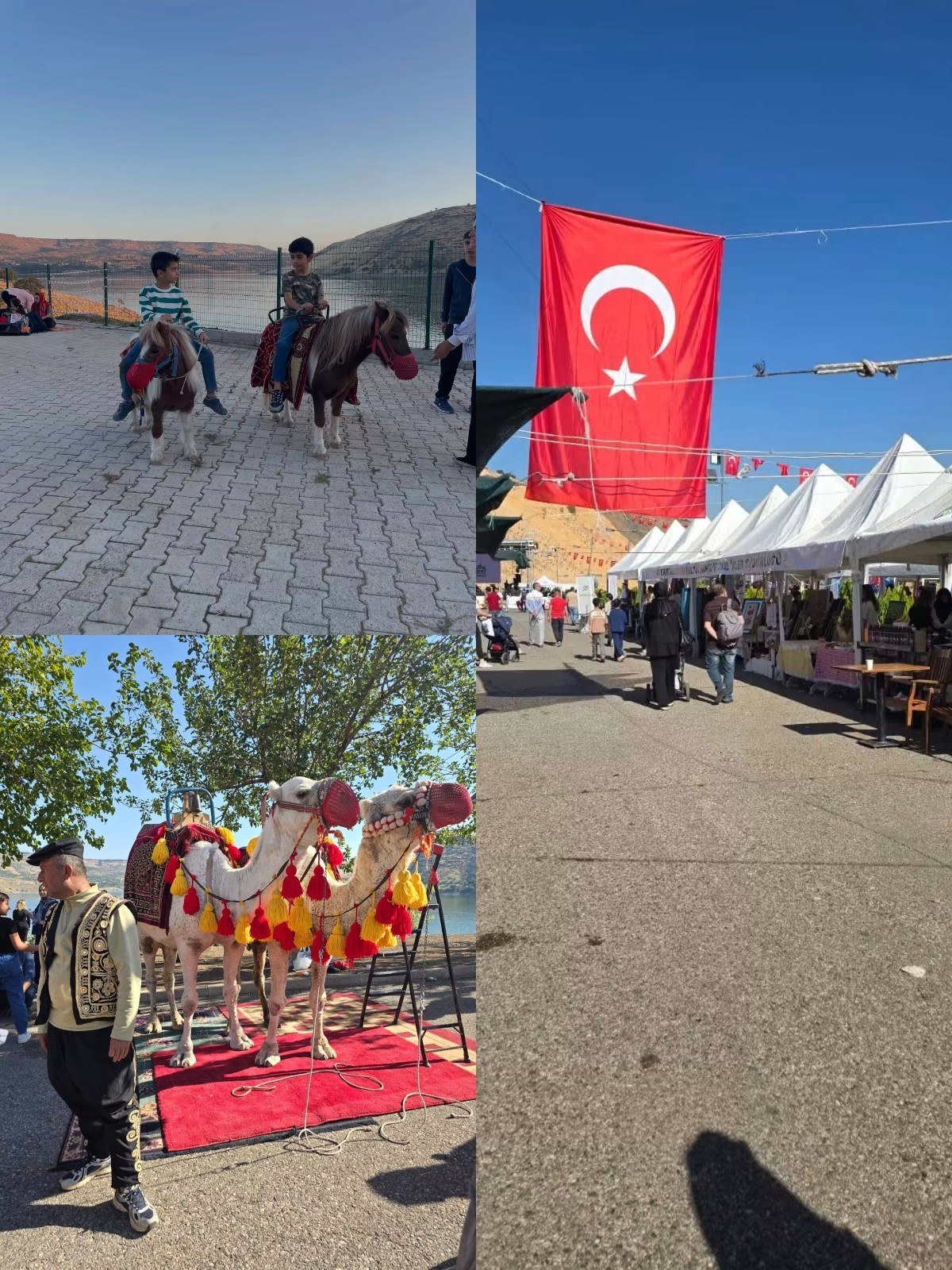 Şanlıurfa Siverek Takoran Festivali Coşkuyla Kutlandı