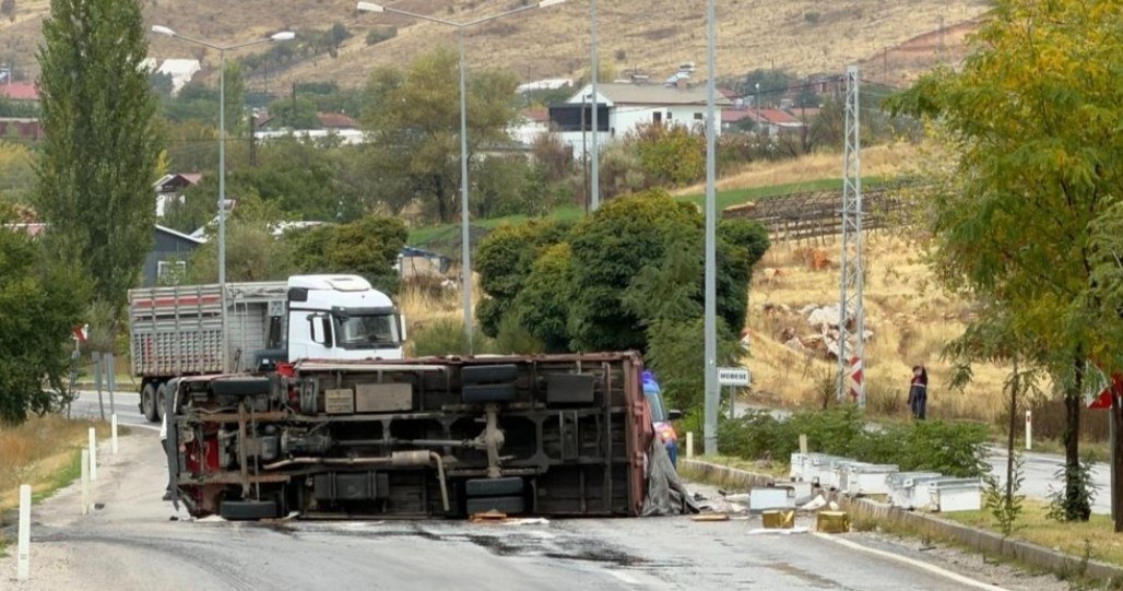 Adıyaman Malatya Karayolunda Arı Yüklü Kamyon Devrildi